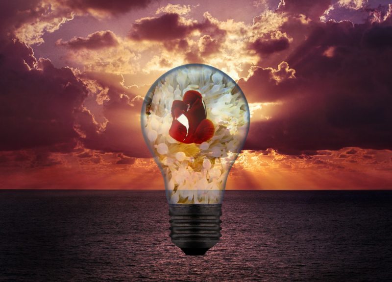 Improving the quality of your ideas: our best suggestions