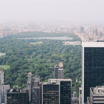 Things to See and Do in Central Park