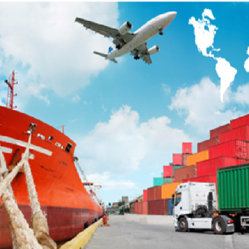 Ensure Streamlined Importing With These Considerations